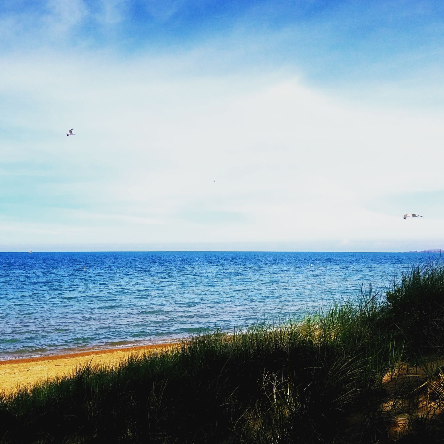 beaches